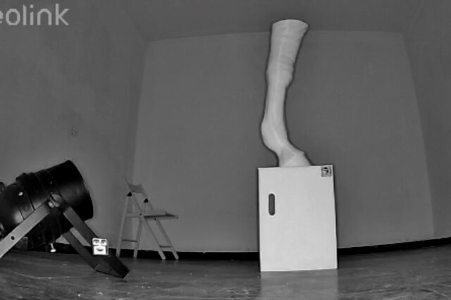 Equus3D: Umsonst. Aber nur von außen. What Remains Remains Remains