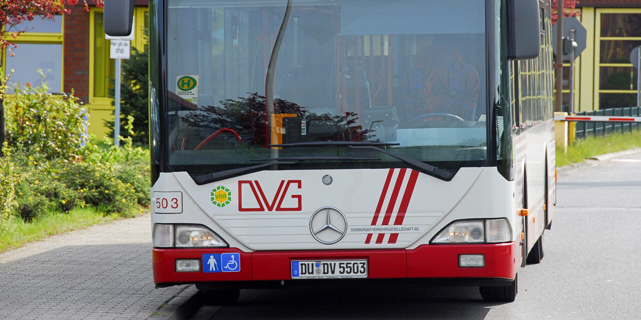 Bus