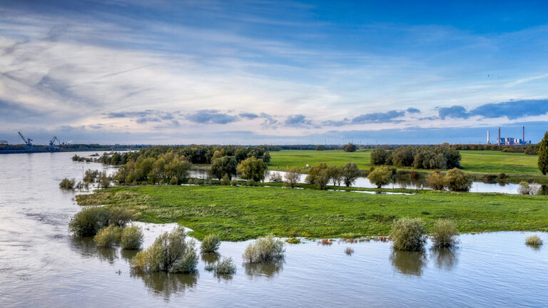 Rheinaue Walsum