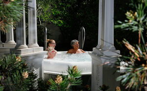 Saunagarten mit Pool