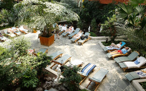 Ruhebereich unter Palmen