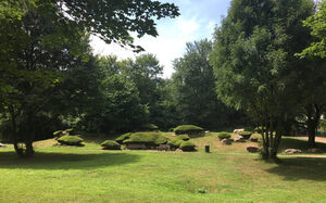 Grünanlagen im Revierpark Mattlerbusch