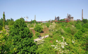 Ausgedehnte Grünanlagen im Landschaftspark